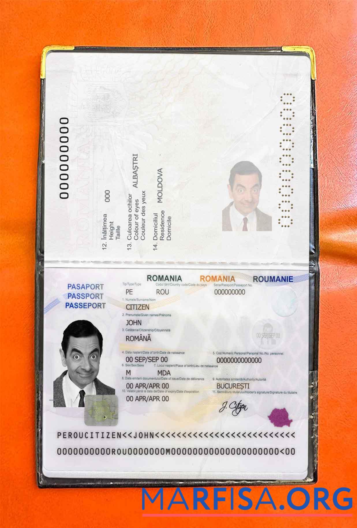 Realistic Romania passport photo look sample